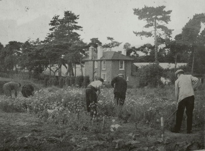 Gardening
