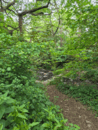 image03